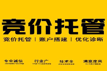 竞价广告的投放策略与效果评估——以一成功企业为例